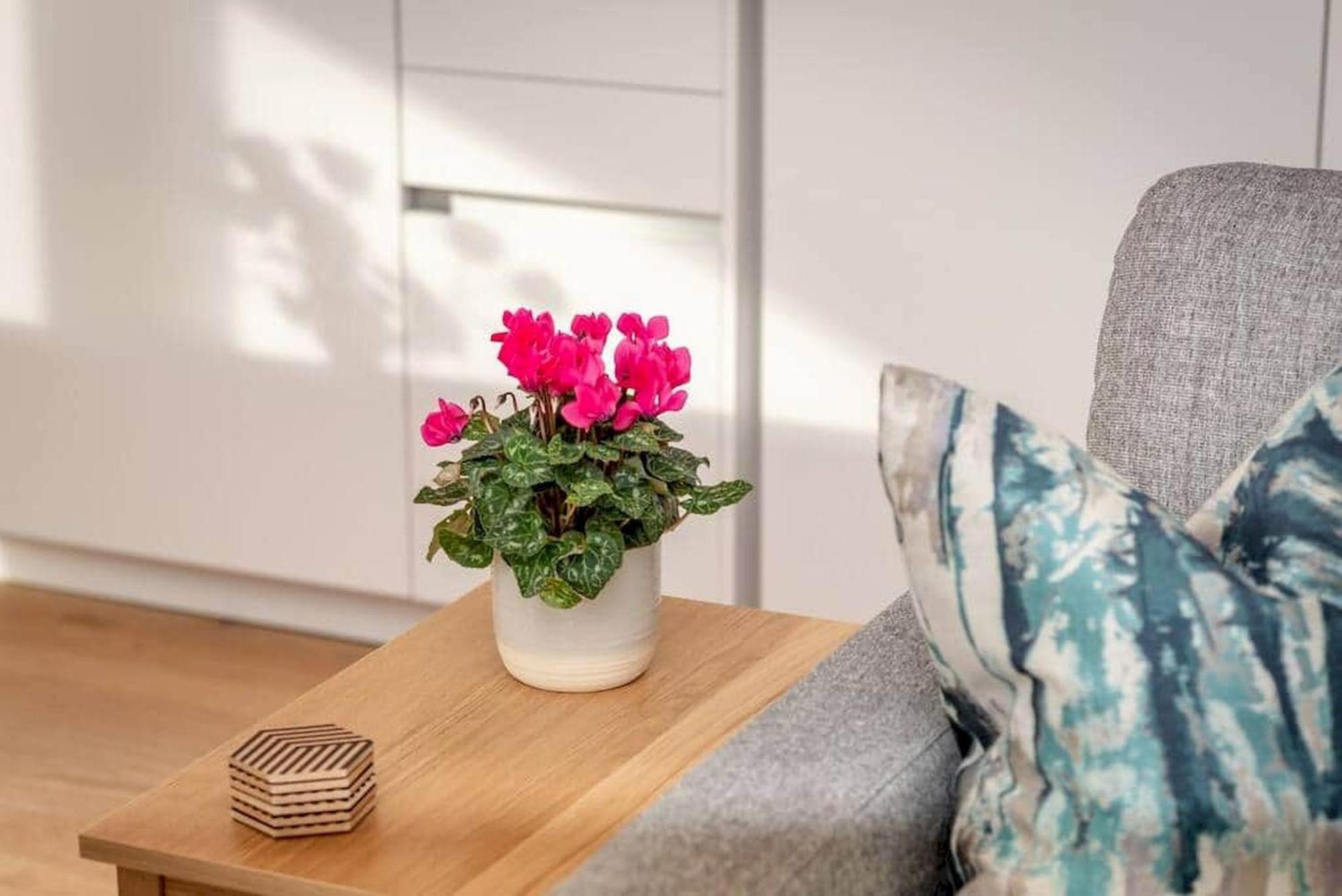 Lade Braes Apartments - No 22D 세인트앤드루스 외부 사진